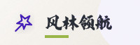 合作伙伴
